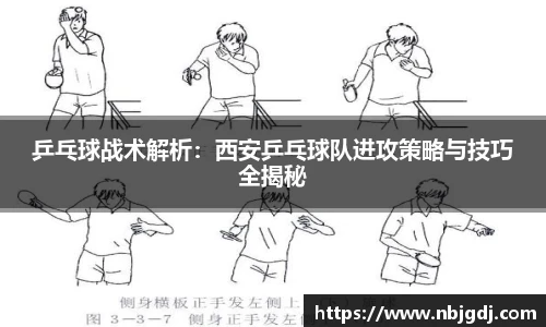 乒乓球战术解析：西安乒乓球队进攻策略与技巧全揭秘