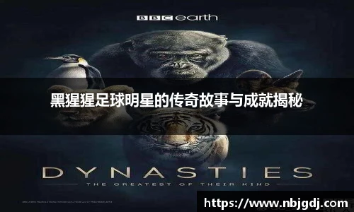 黑猩猩足球明星的传奇故事与成就揭秘