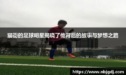 猫街的足球明星揭晓了他背后的故事与梦想之路